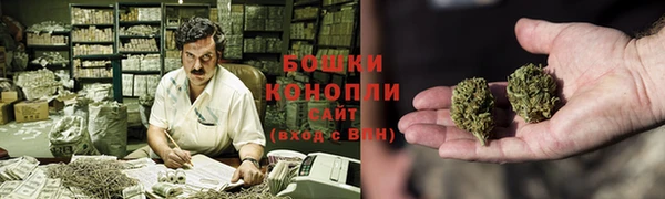 шишки Новозыбков