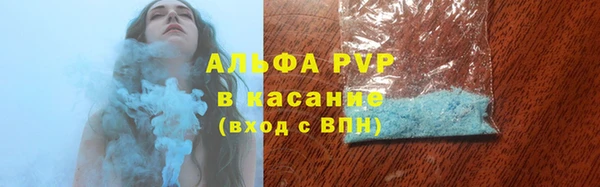шишки Новозыбков