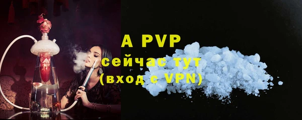 шишки Новозыбков