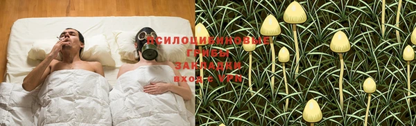 jwh Новокубанск
