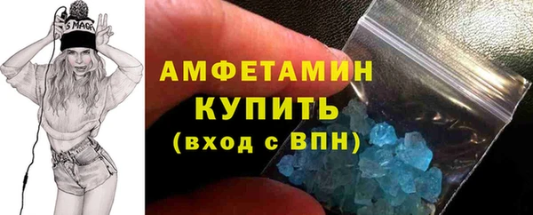 шишки Новозыбков