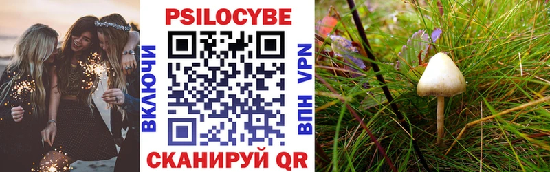 блэк спрут ссылка  Тетюши  Псилоцибиновые грибы Psilocybine cubensis 